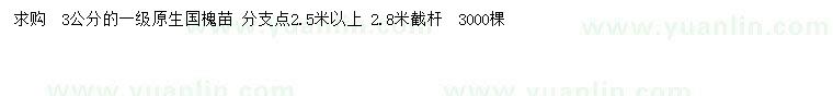 求購3公分國槐
