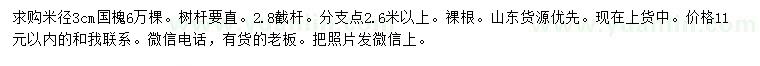 求購3公分速生國槐 