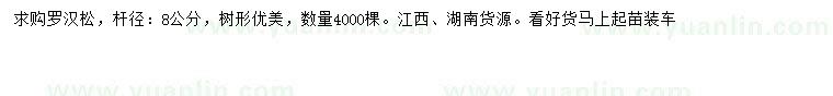 求購(gòu)8公分羅漢松