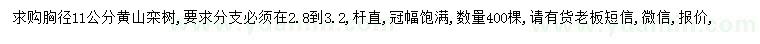 求購11公分黃山欒樹