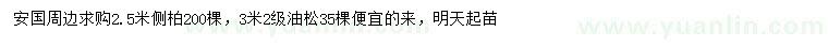 求購2.5米側(cè)柏、3米油松