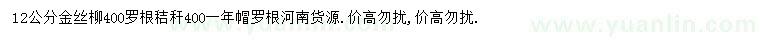求購12公分金絲柳