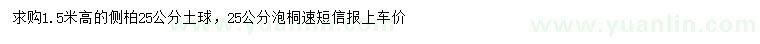求購(gòu)高1.5米側(cè)柏、25公分泡桐
