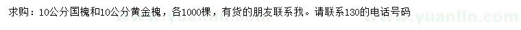 求購10公分黃金槐、國槐