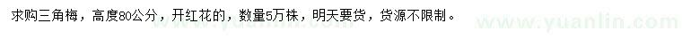 求購高80公分三角梅