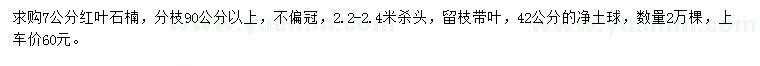 求購7公分紅葉石楠