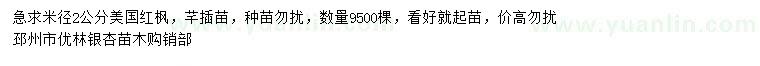 求購米徑2公分美國紅楓
