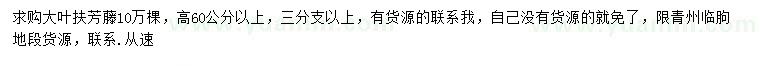 求購高60公分以上大葉扶芳藤