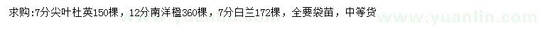 求購尖葉杜英、南洋楹、白蘭