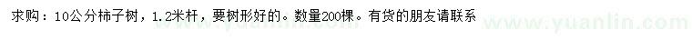 求購10公分柿子樹