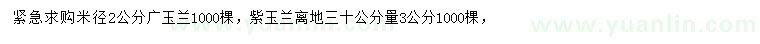 求購米徑2公分廣玉蘭、30量3公分紫玉蘭
