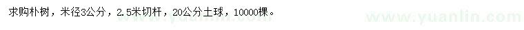 求購(gòu)米徑3公分樸樹(shù)