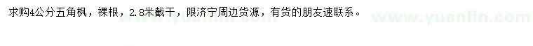 求購4公分五角楓