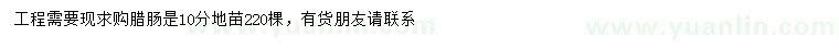 求購9-11公分臘腸樹(shù)