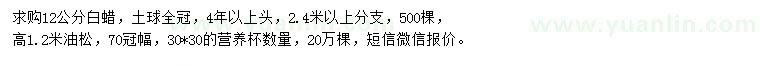 求購12公分白蠟、高1.2米油松