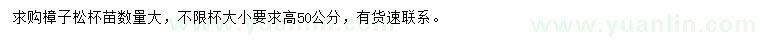 求購高50公分樟子松