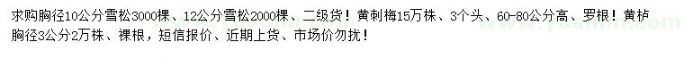 求購雪松、黃刺梅、黃櫨