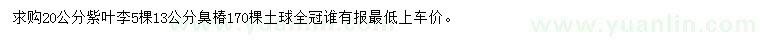 求購20公分紫葉李