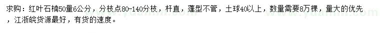 求購50量6公分紅葉石楠