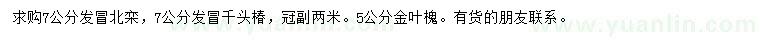 求購北欒、千頭椿、金葉槐