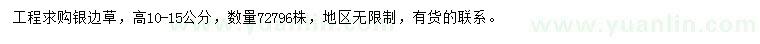 求購高10-15公分銀邊草