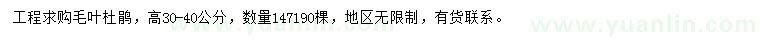 求購高30-40公分毛葉杜鵑