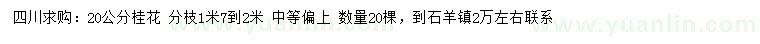 求購(gòu)20公分桂花
