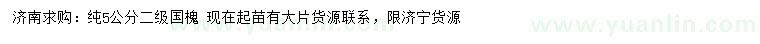 求購(gòu)5公分國(guó)槐