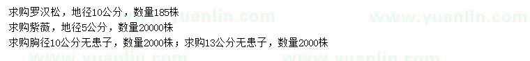 求購(gòu)羅漢松、紫薇、無(wú)患子
