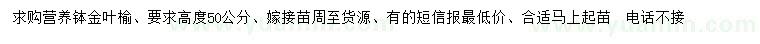 求購高50公分金葉榆