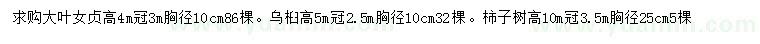 求購大葉女貞、烏桕、柿子樹等