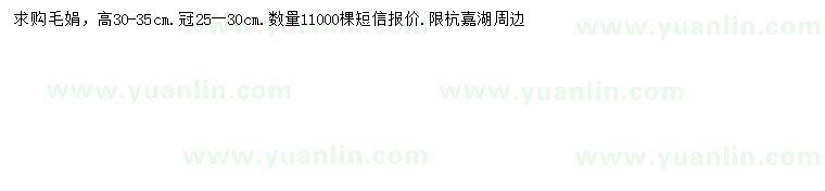 求購高30-35公分毛鵑