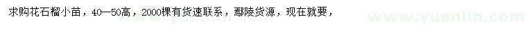 求購(gòu)高40-50公分花石榴