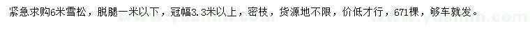 求購(gòu)6米雪松