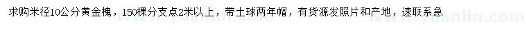 求購米徑10公分黃金槐
