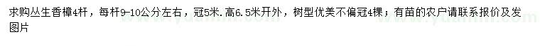 求購(gòu)9-10公分香樟
