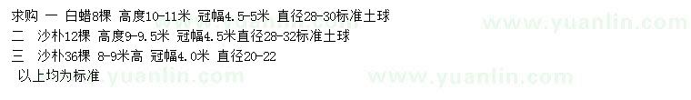 求購高10-11米白蠟、9-9.5米沙樸