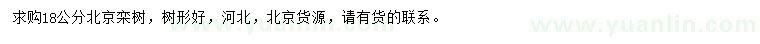 求購(gòu)18公分北京欒樹(shù)