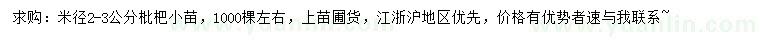 求購(gòu)米徑2-3公分枇杷小苗