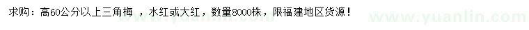 求購高60公分以上三角梅