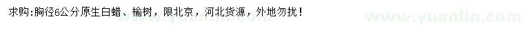 求購胸徑6公分原生白蠟、榆樹