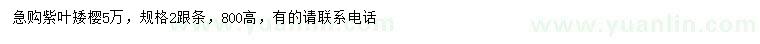 求購(gòu)高800公分紫葉矮櫻