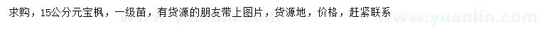 求購15公分元寶楓