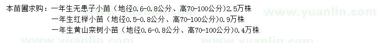 求購無患子、紅櫸、黃山欒樹小苗