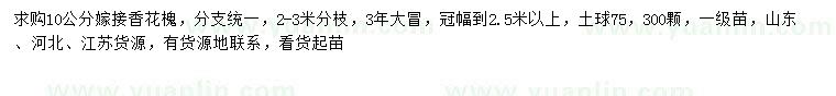 求購10公分嫁接香花槐