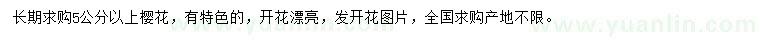 求購5公分以上櫻花