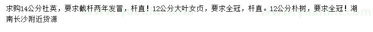 求購杜英、大葉女貞、樸樹(shù)