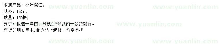 求購(gòu)16公分小葉欖仁