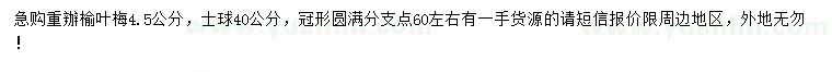 求購4.5公分重瓣榆葉梅