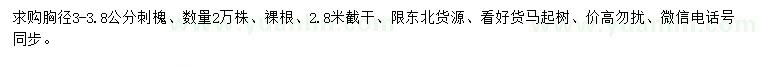 求購(gòu)胸徑3-3.8公分刺槐